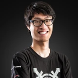WildTurtle